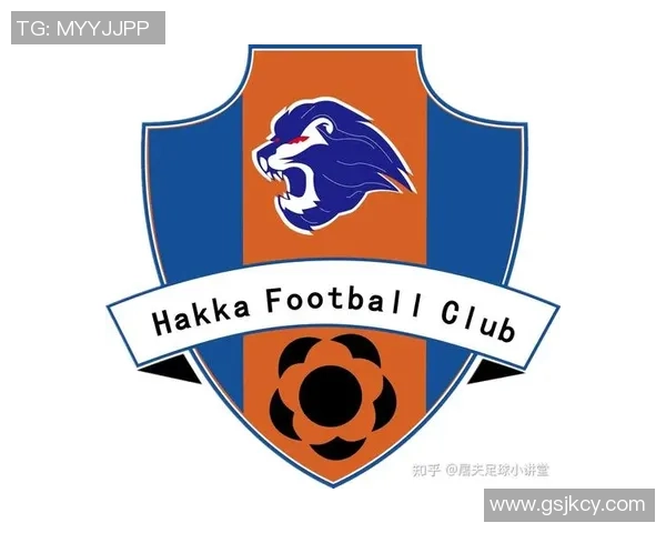 全球各国足球队徽标志全景展示与解析汇总