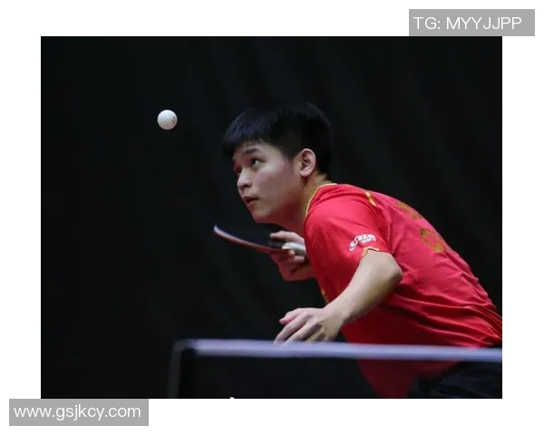 杨伟专访:深入探讨乒乓球成功背后的秘诀与心路历程